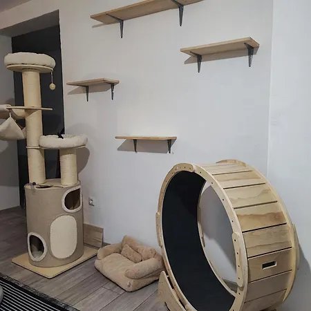 Fera سراييفو